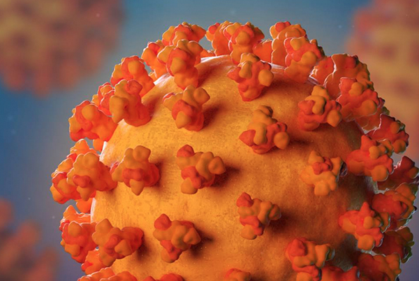 COVID pathogen