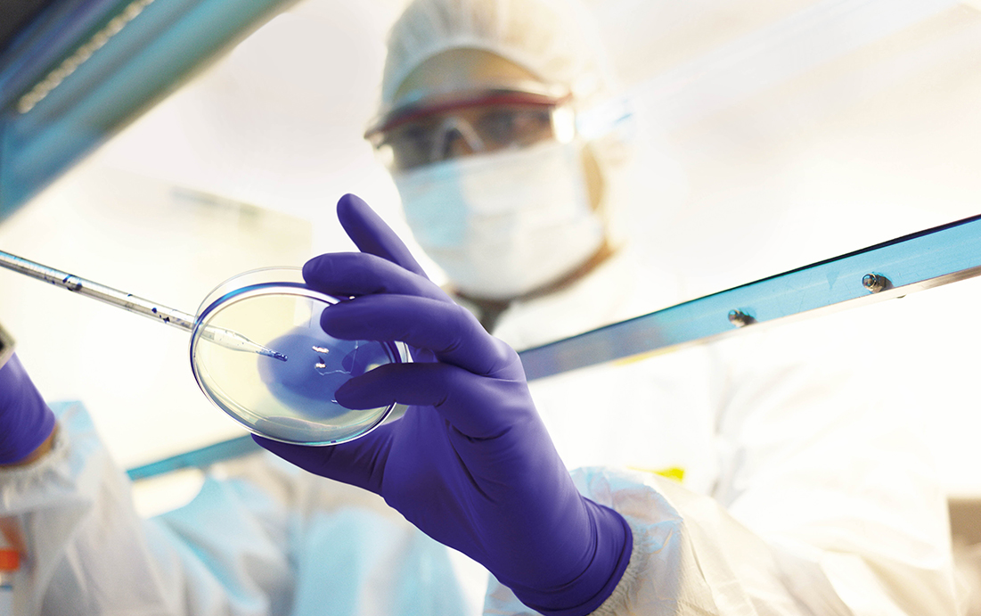 Research Solutions