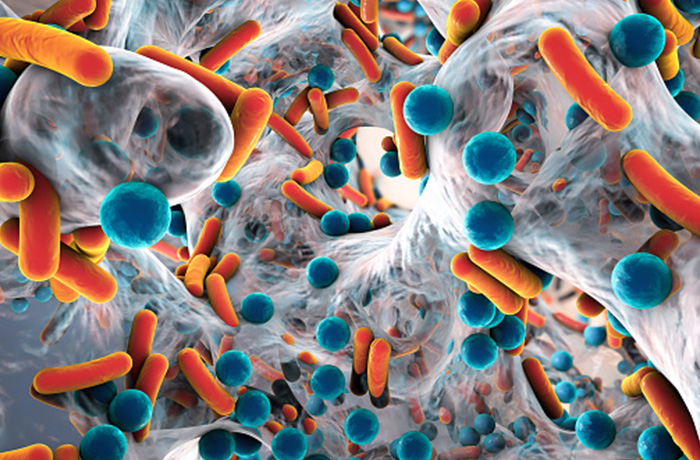 STK_Biofilm_RGB Magnified representation of biofilm