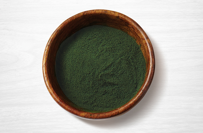 Bluegreen algea Bluegreen algea