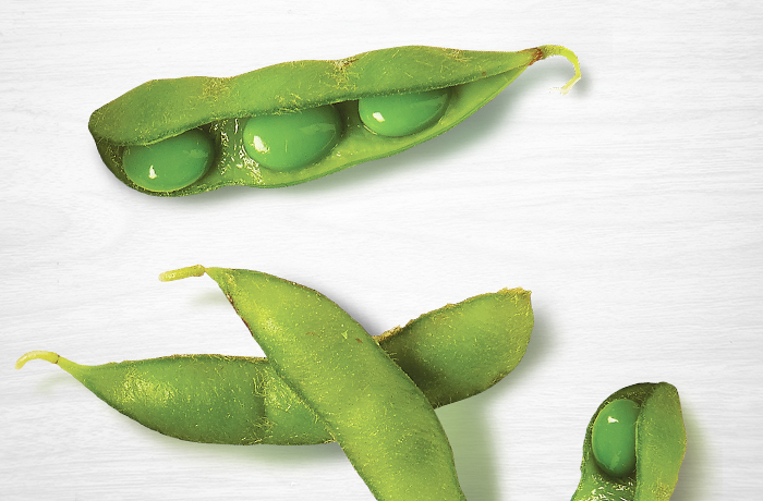 Soybeans Soybeans