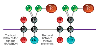 OTH_Marathon-Molecule-diagrams-2