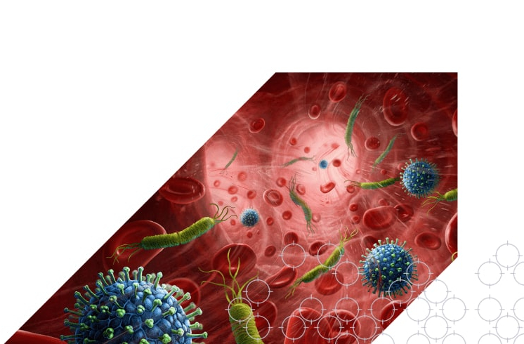 IP-BSI-min (1) Infectious pathogens invading bloodstream