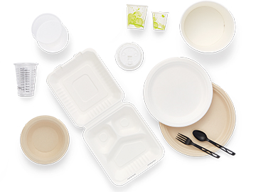 Collection of disposable foodservice products, including plates, bowls, cutlery and to-go containers