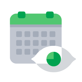 IP_vision and schedule_RGB vision and action plan