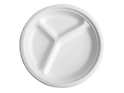 White paper plate divided into three sections