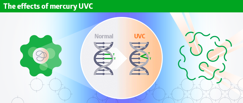 STK_UVC light infographic_RGB UVC light illustration