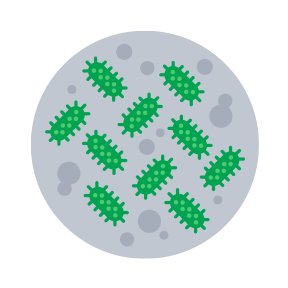 STK_pathogens multiply_RGB multiplying pathogens