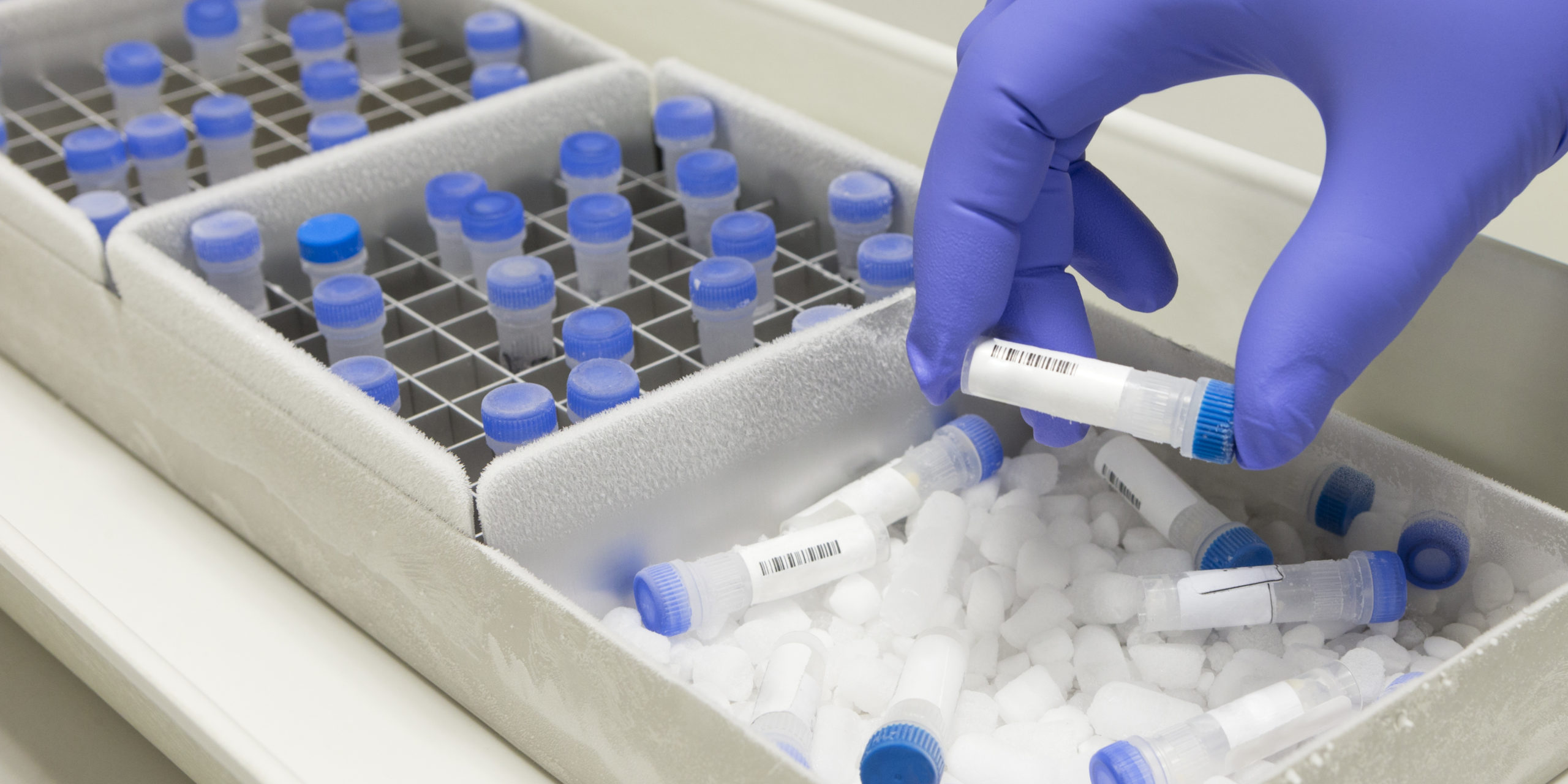 Test Tube Specimen photo of a gloved hand reaching in to pick up a vial out of tray with ice