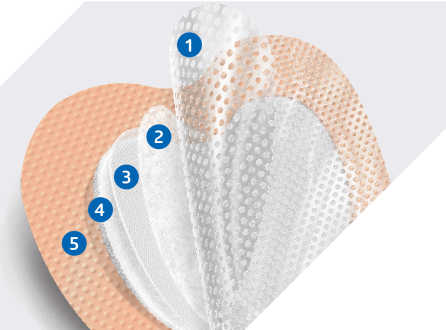 A layered dressing for weeping wounds labeled to show all 5 layers 