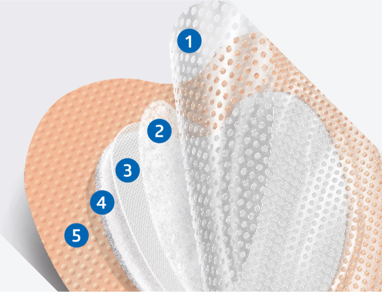 A layered dressing for weeping wounds labeled to show all 5 layers 