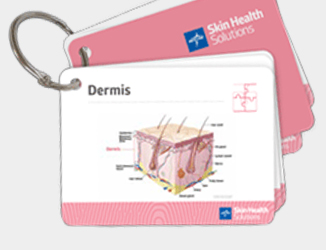 STK_SH_answer-cards_RGB Example of a badge buddy set of cards on a metal ring, showing an illustration of the dermis layer of skin