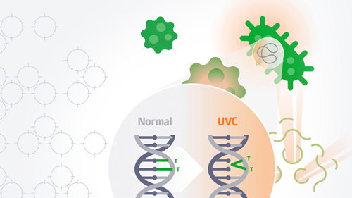 UV Webinar Recap