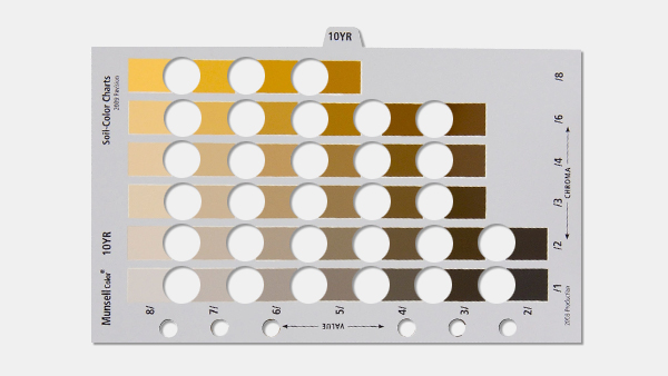 STK_munsell-soil-color Munsell color chart indicating six rows and six columns of different skin tones