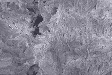 puracol_product_benefits_image1