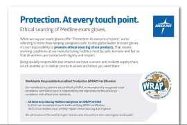 Preview of fact sheet on ethical sourcing of gloves